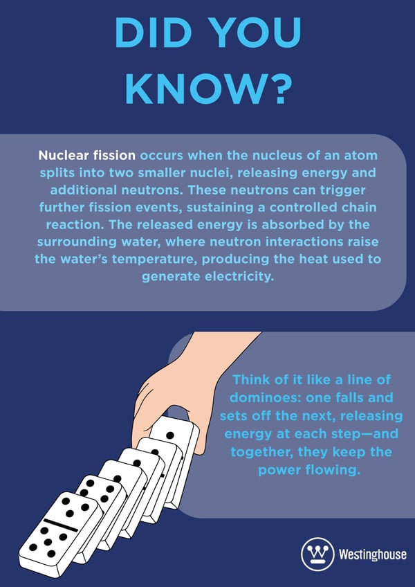 DID YOU KNOW (11)