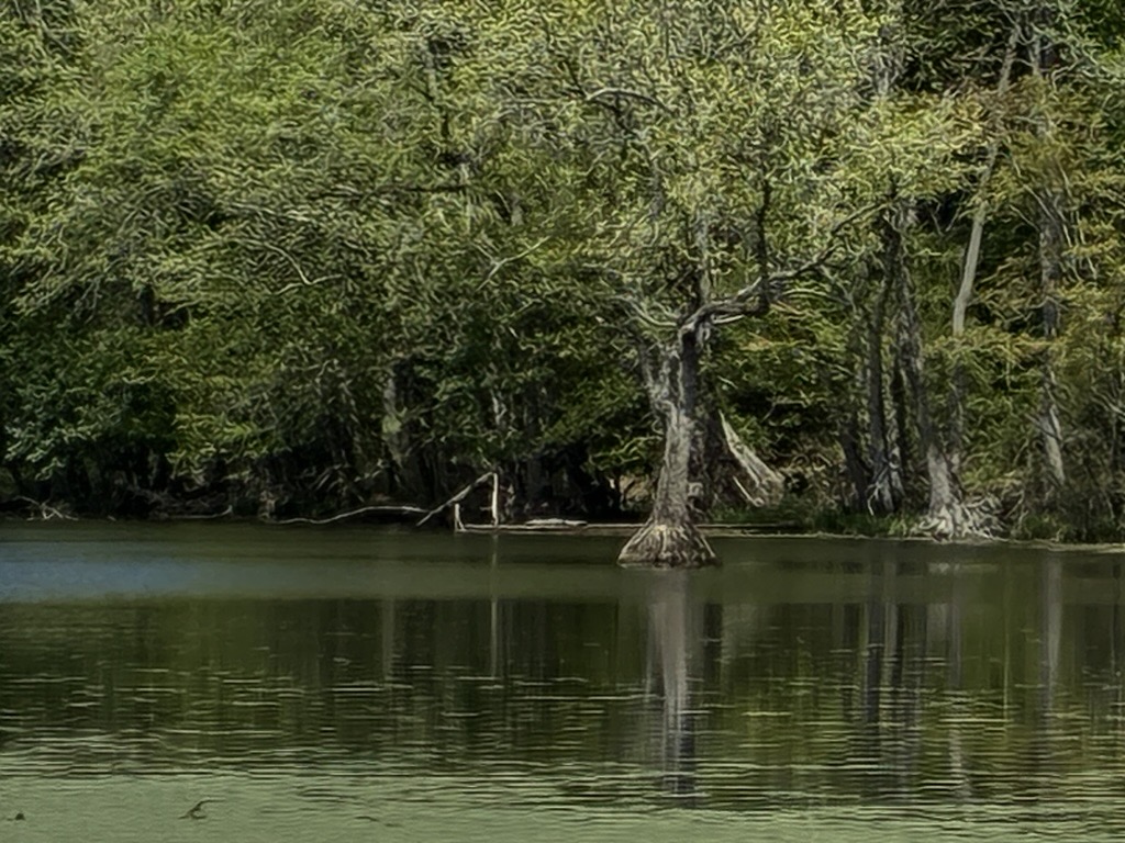 Sunset Lake 2