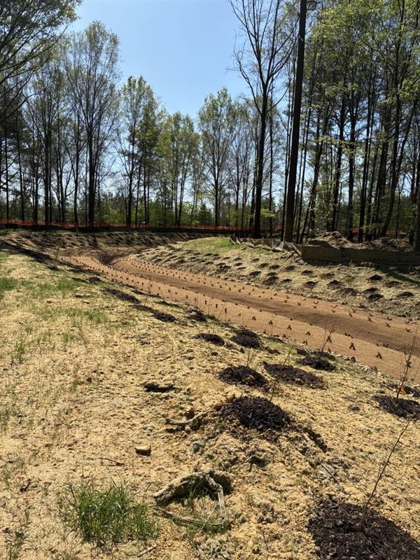 Wetlands Enhancement